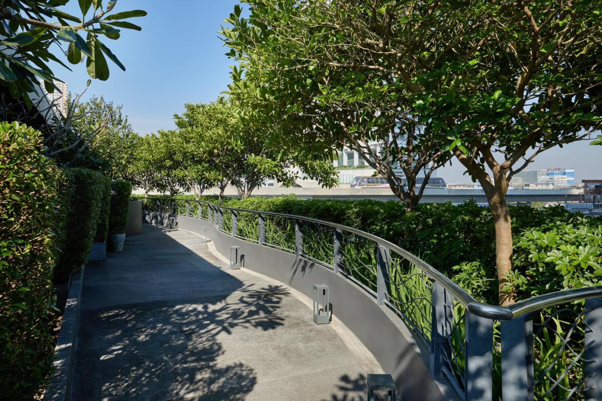 Riva Vibe By Pcl