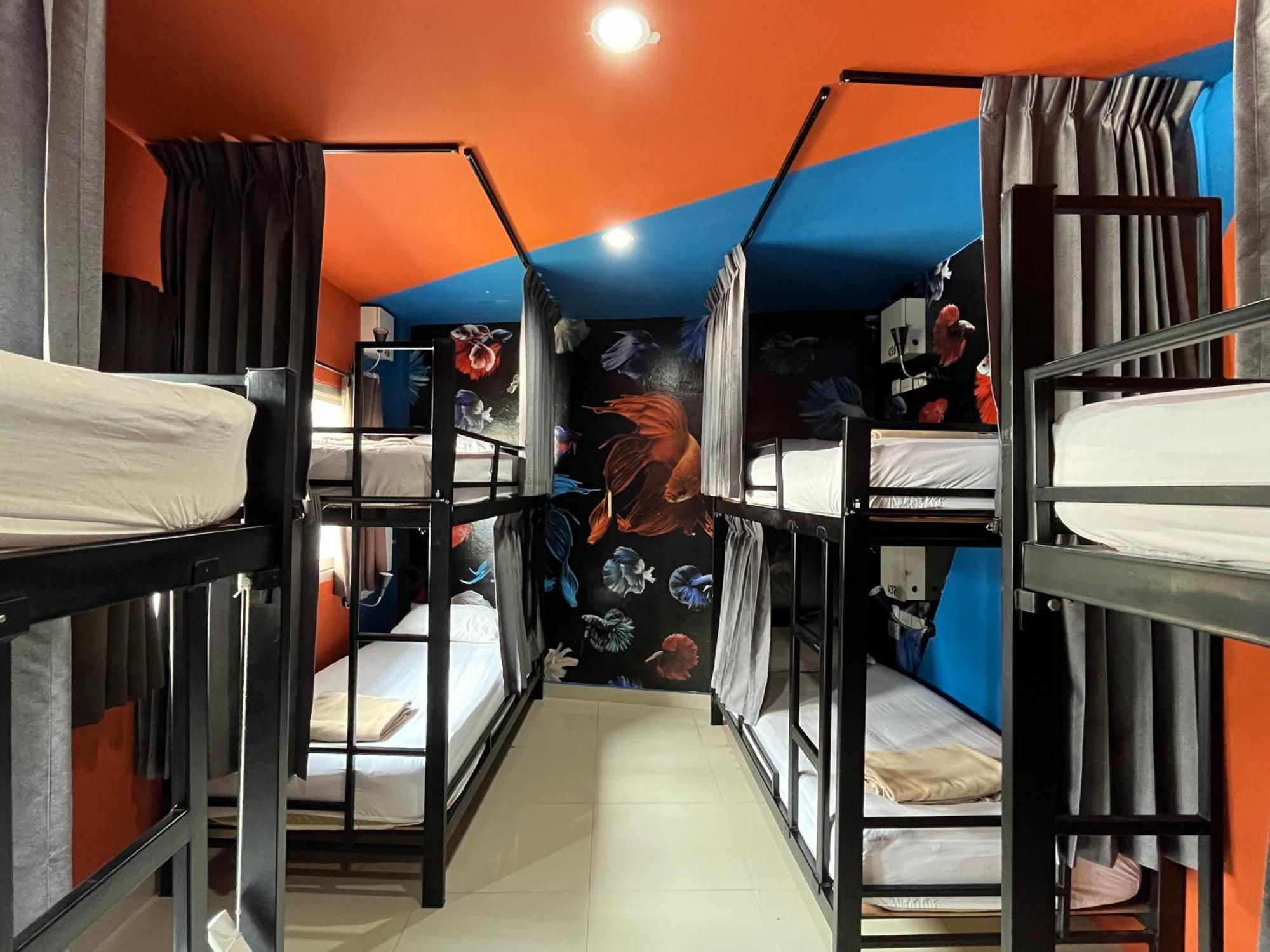 Hostel Everyday *