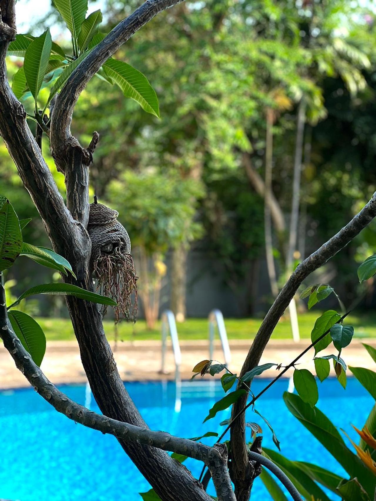 Villa Deluxe Pool 5 Punnawithi Bts *