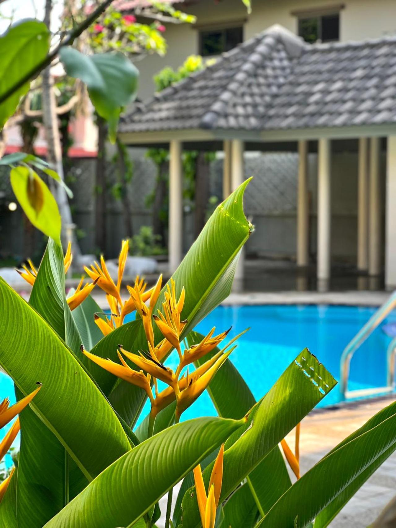 Deluxe Pool 5 Punnawithi Bts *