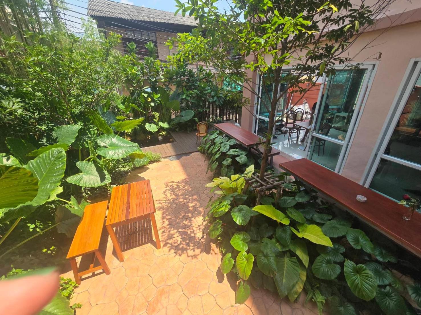 Bonita House 2*