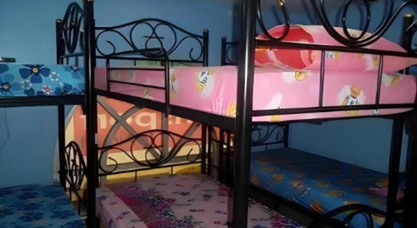 Centaur Hostel