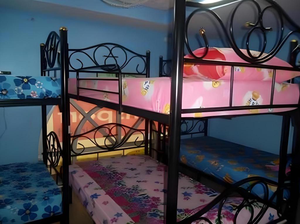 Albergue Centaur *