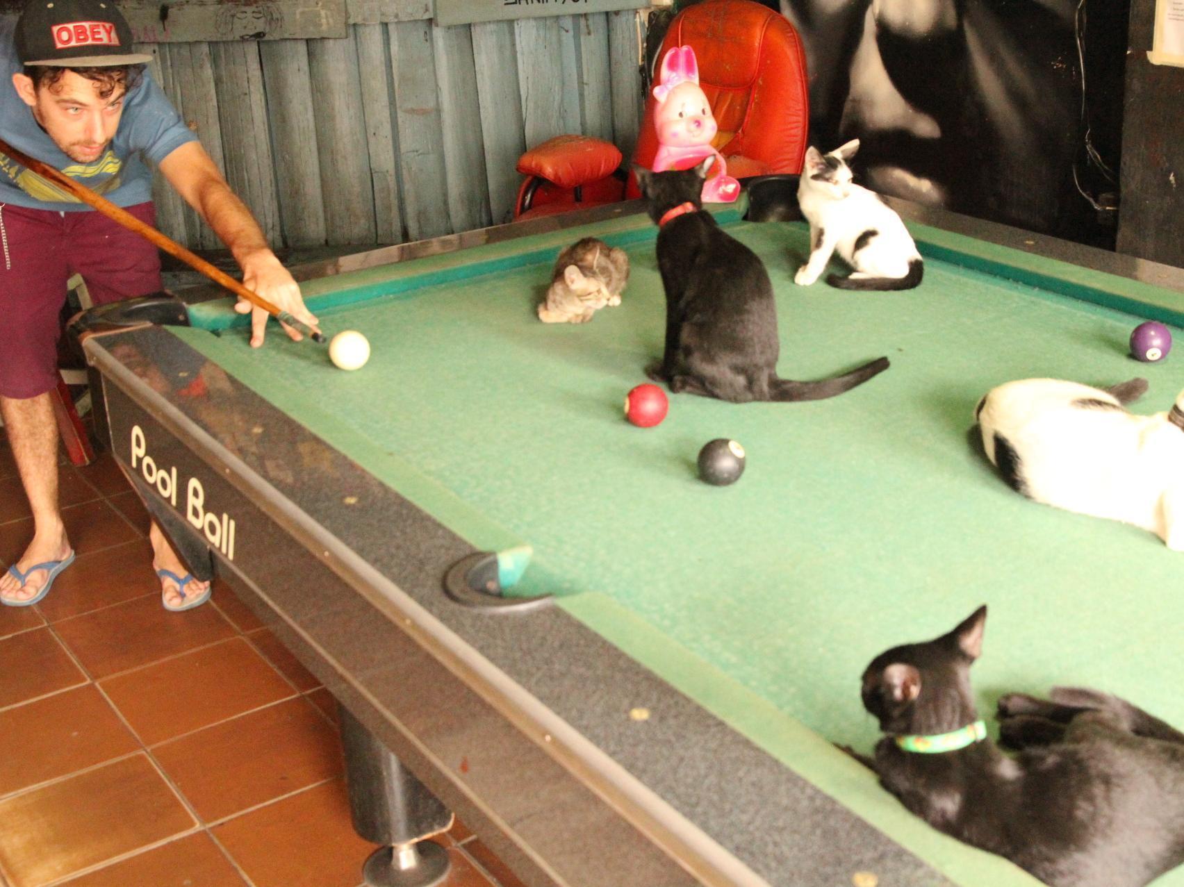 The Overstay Bangkok
