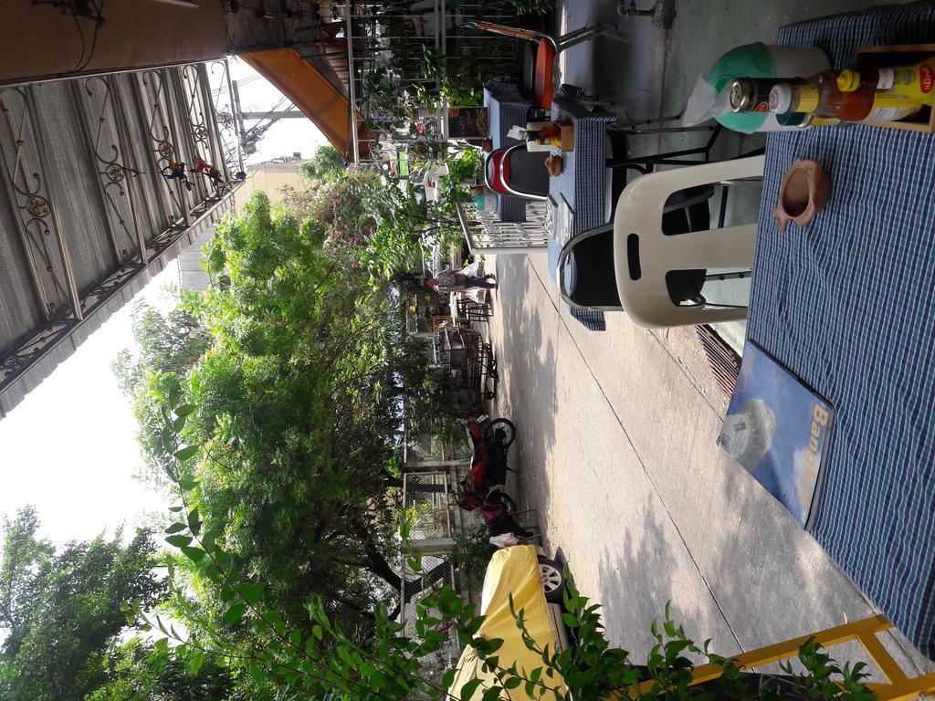 Albergue The Oasis (adults Only) *