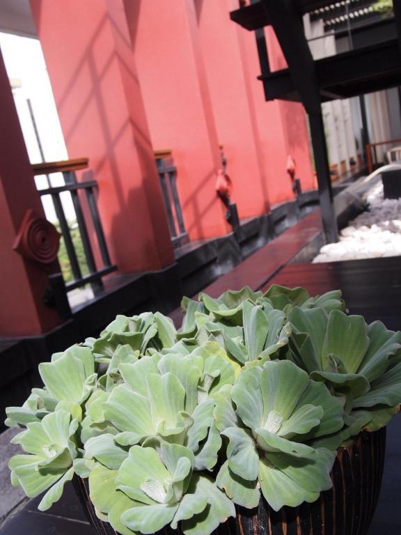 Loogchoob Guest house Bangkok