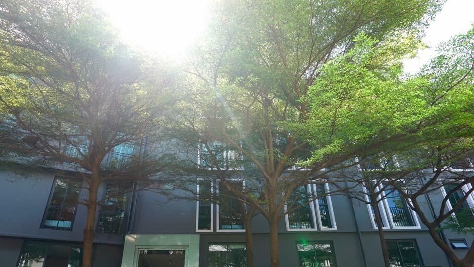 Guest house Bbhouse Khlongtan Bangkok