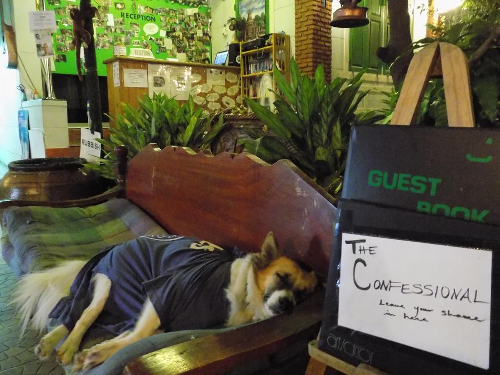 Hostel The Oasis (adults Only) *
