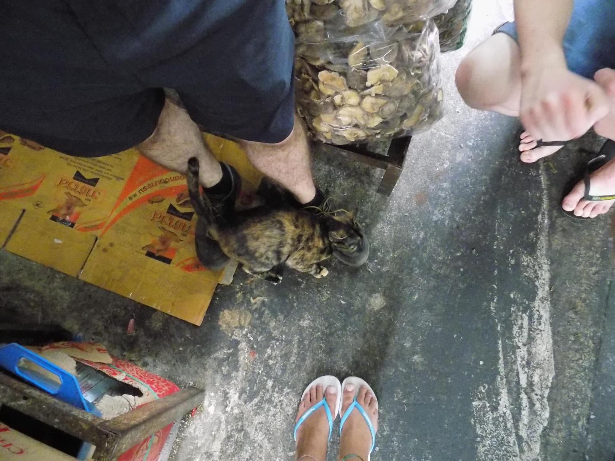 Hostel The Oasis (adults Only) Bangkok