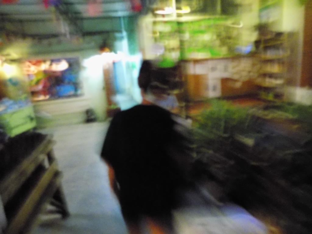 The Oasis (adults Only) Hostel Bangkok
