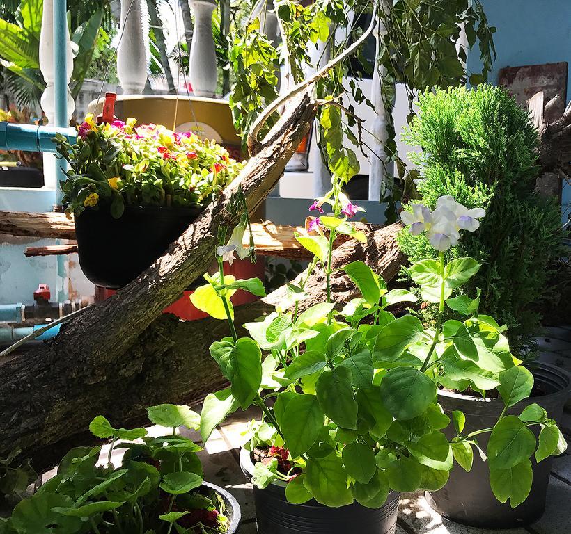 Gasthof Sira's House Bangkok