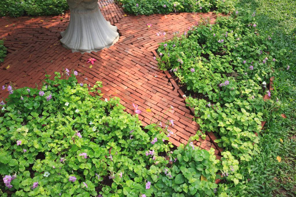 Baan Khun Nine Wang Doem Hotel