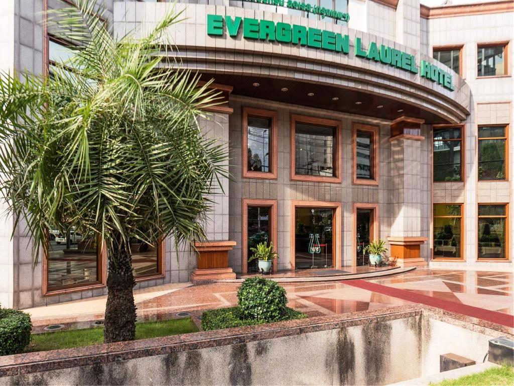 Evergreen Laurel 5*