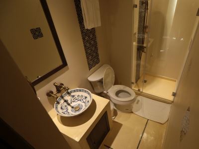 Dewan Hotel 3*
