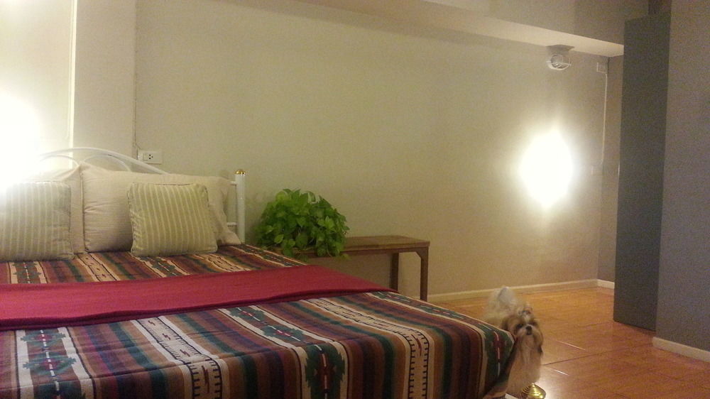 Need Sleep Albergue