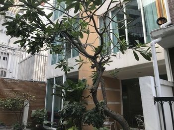 Urban House Guest house