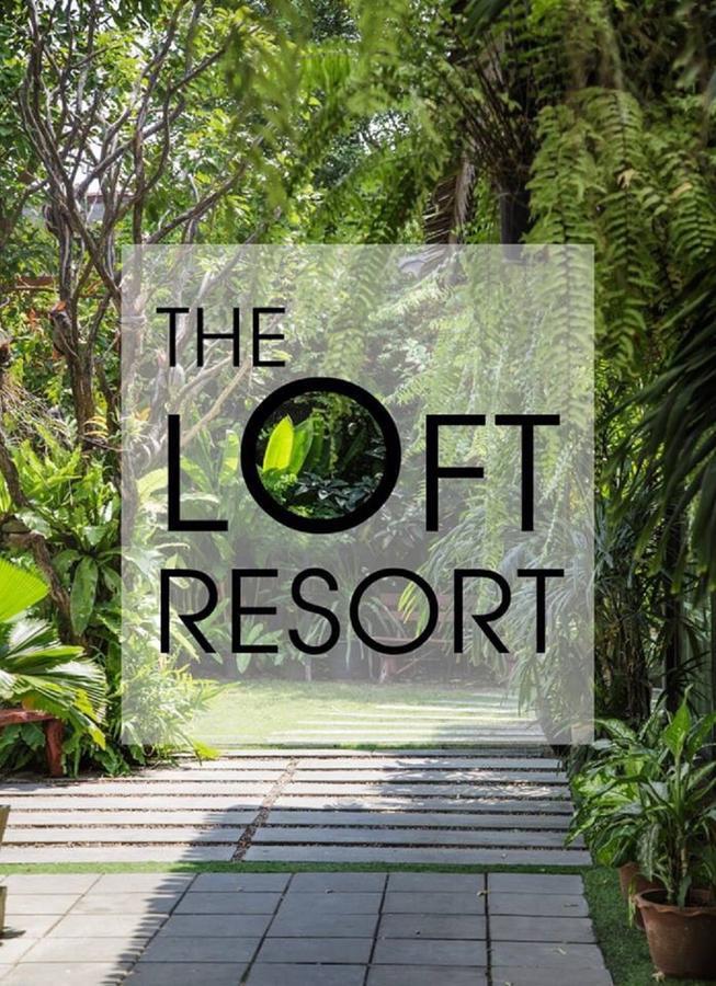 Inn The Loft