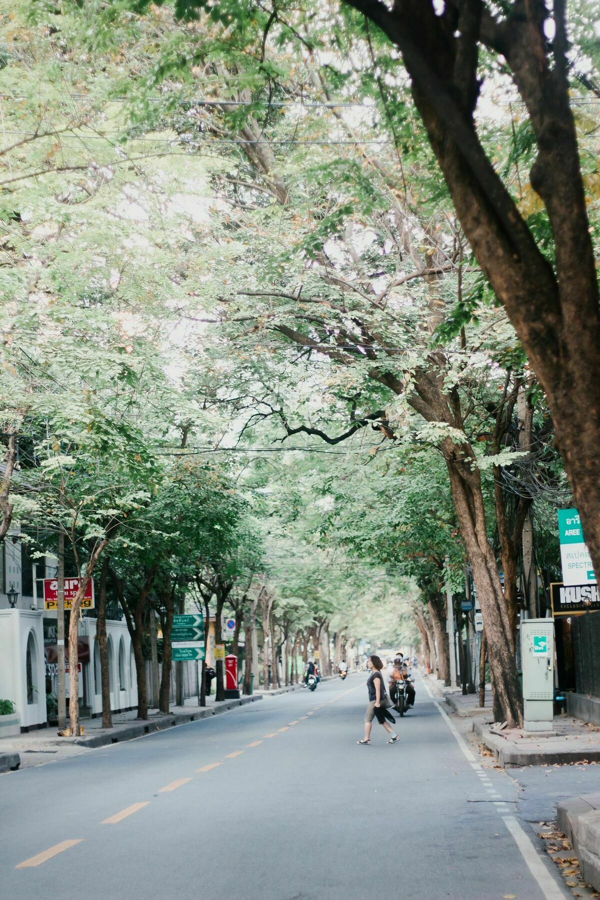 Weeping Willow Sukhumvit 26 * Bangkok