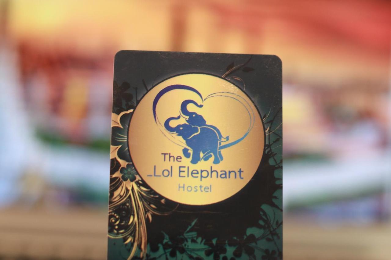 The Lol Elephant Asrama